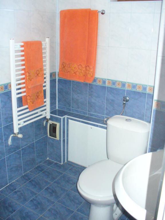 Guest House Alfa Daniel Balkanets  객실 사진