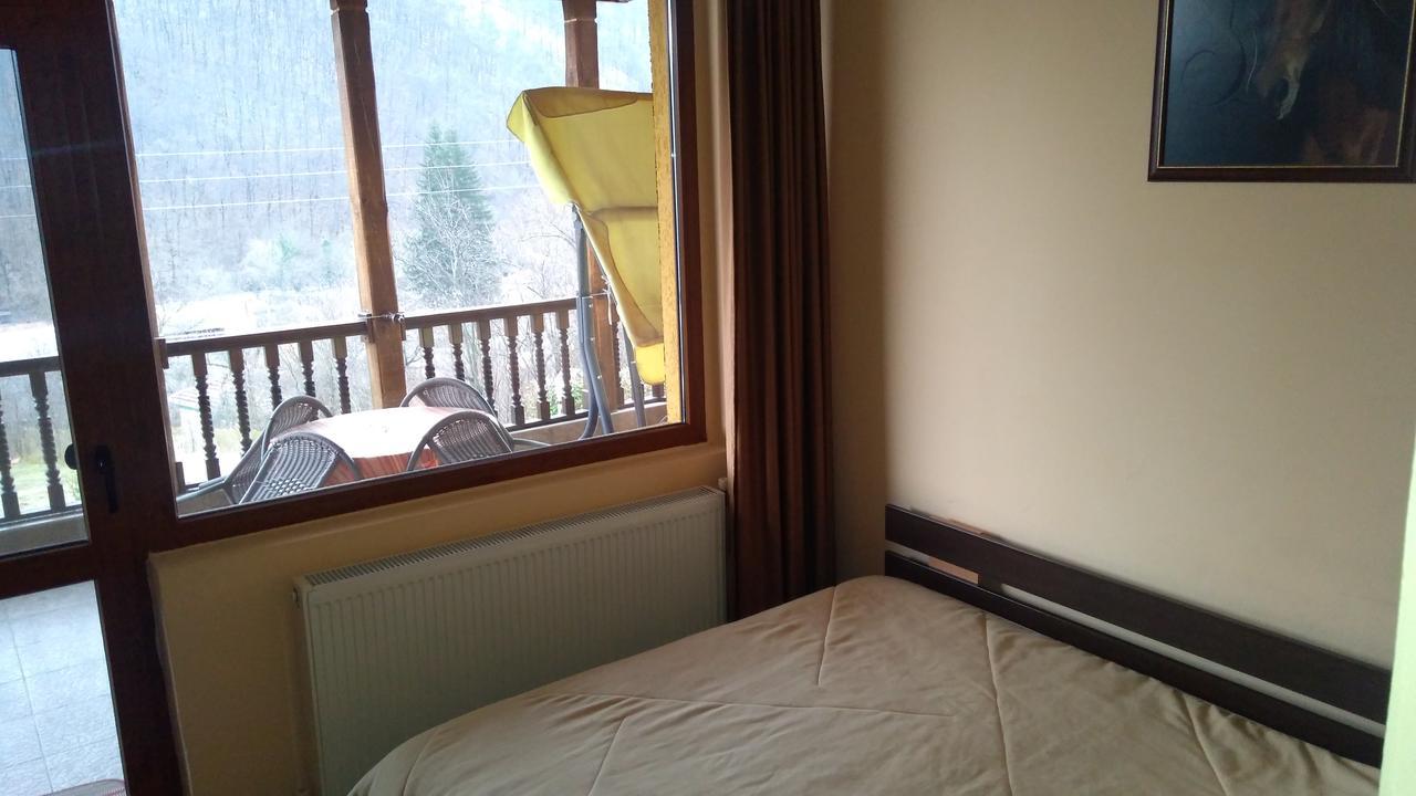 Guest House Alfa Daniel Balkanets  외부 사진