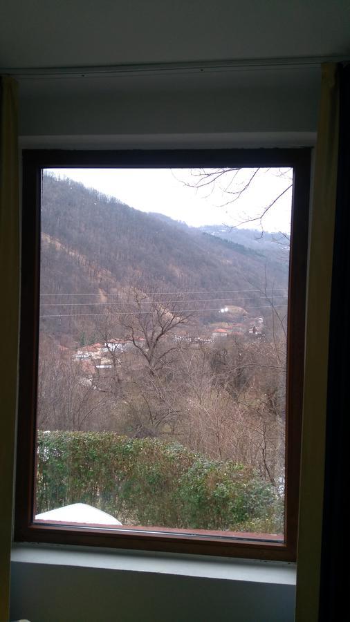Guest House Alfa Daniel Balkanets  외부 사진