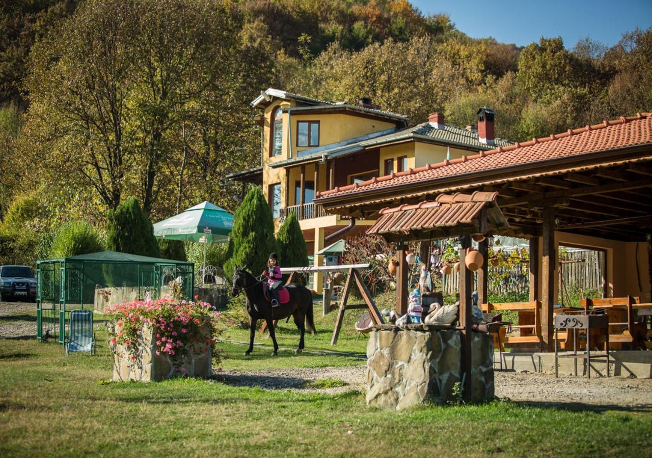Guest House Alfa Daniel Balkanets  외부 사진